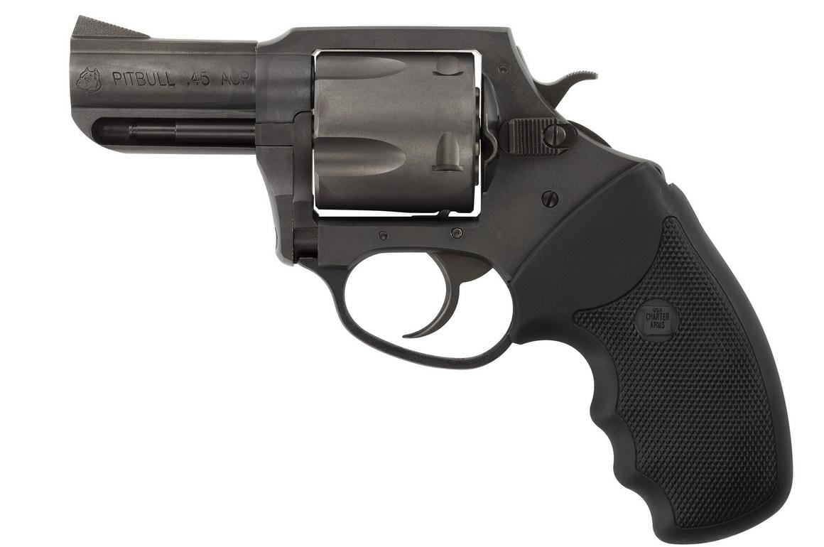 Charter Arms - Mks Supply Pit Bull 64520 45 ACP 5 2.5"