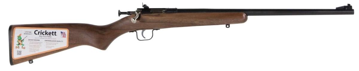 Crickett Crickett KSA2338 22 WMR 1 16.13"