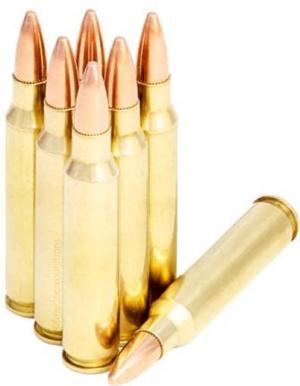 Freedom Munitions .223 Remington 55 Grain Full Metal Jacket Brass Cased Pistol Ammo, 50 Rounds, FM223F55N FM223F55N