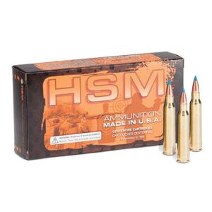 HSM Ammo Varmint 204 Ruger 39 Grain Blitzking 3857 fps 20 Rounds
