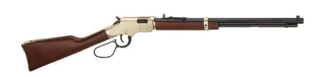 Henry Golden Boy H004VL 17 HMR 11 + 1 20"