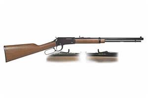 Henry Henry Lever Action H001T 22 LR 15+1 20 Octagon Barr