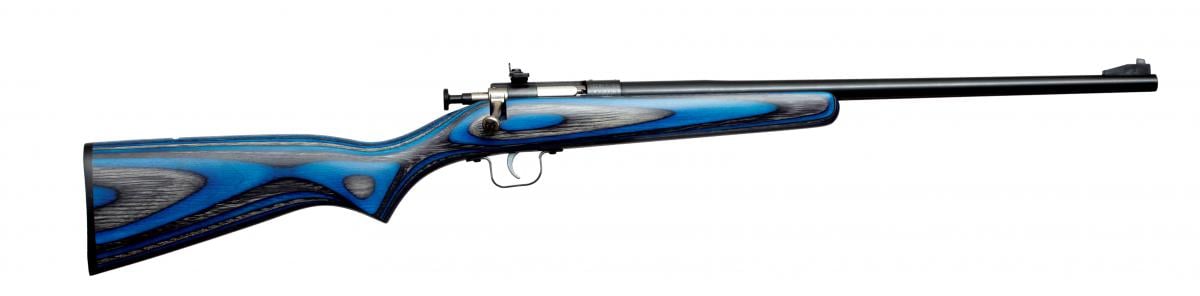 Keystone Sporting Arms Crickett KSA2222 22 LR 1 16.125"