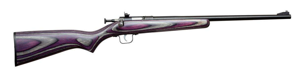 Keystone Sporting Arms Crickett KSA2227 22 LR 1 16.25"