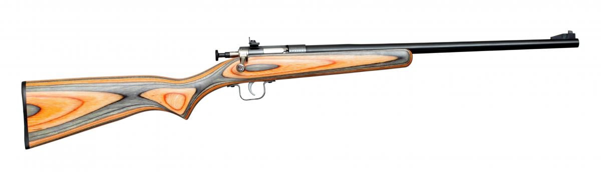 Keystone Sporting Arms Crickett KSA2231 22 LR 1 16.25"