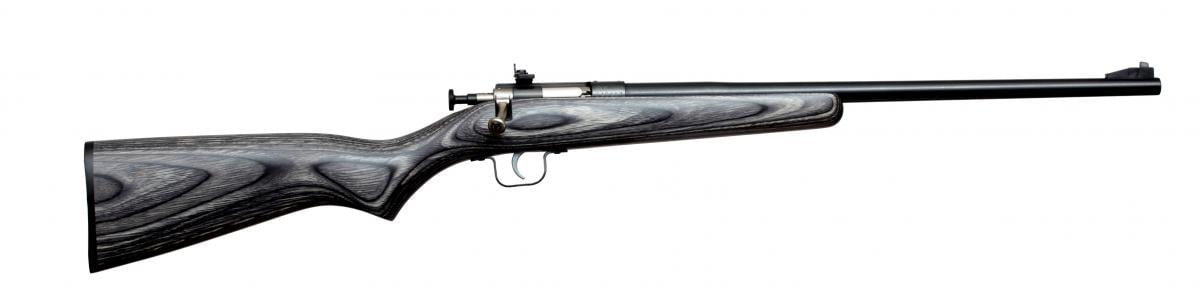 Keystone Sporting Arms Crickett KSA2244 22 LR 1 16.125"