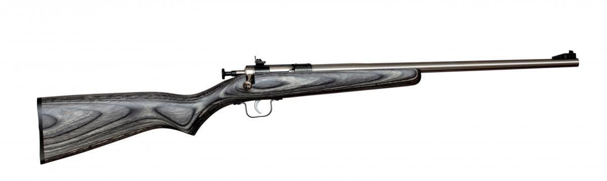 Keystone Sporting Arms Crickett KSA2270 22 LR 1 16.125"