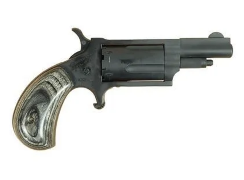 North American Arms Mini Revolver NAA-22M-SG-SBG 22 WMR 5 Rnd 1.63"