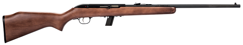 Savage Arms 64 G 30000 22 LR 10 rd. Detachable Box 21"