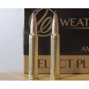 WBY AMMO 340WBY 225GR INTERLOCK