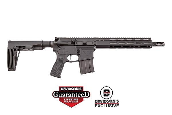 Wilson Combat Protector Pistol TR-PP-556-BL-DS 223/5.56 20+1 Rd. 11.3 Stainless