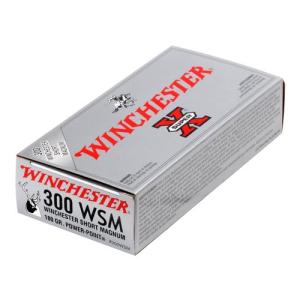 Winchester X300WSM 300 WSM